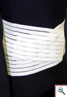 BellHorn-lumbosacral-web